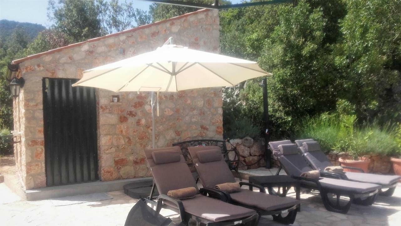 Lavender Hill Hvar Villa - Pool, Jacuzzi,Sauna,Bbq Stari Grad  Exterior photo